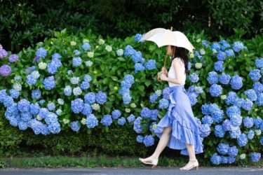 花びら傘フレラで雨の日もおしゃれに！可愛すぎるデザインの魅力とは？