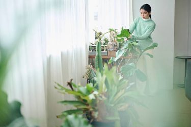 【意外な盲点】虫除け超音波って本当に効かない？失敗しない虫対策のコツ