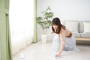 ウールダスターSの口コミ徹底解説！おしゃれで実用的な掃除アイテムの魅力とは？